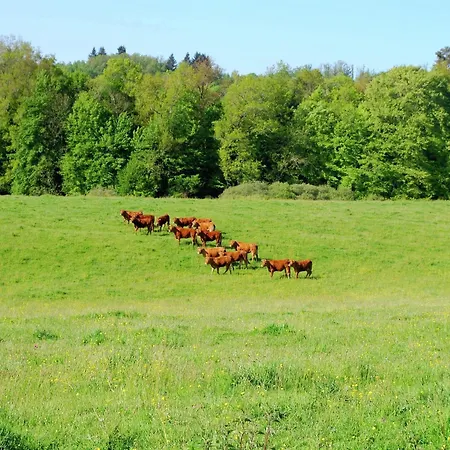 Very With On A Domain With Heated Pool Hébergement de vacances