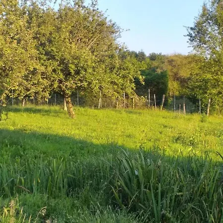 Hébergement de vacances Very With On A Domain With Heated Pool Roussines