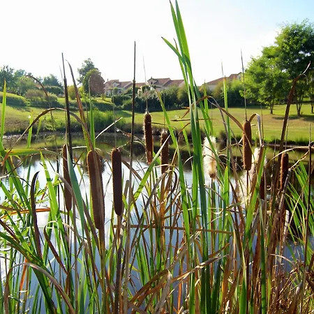 Hébergement de vacances Very With On A Domain With Heated Pool Roussines