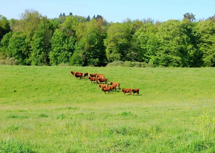 Very With On A Domain With Heated Pool Сasa de vacaciones