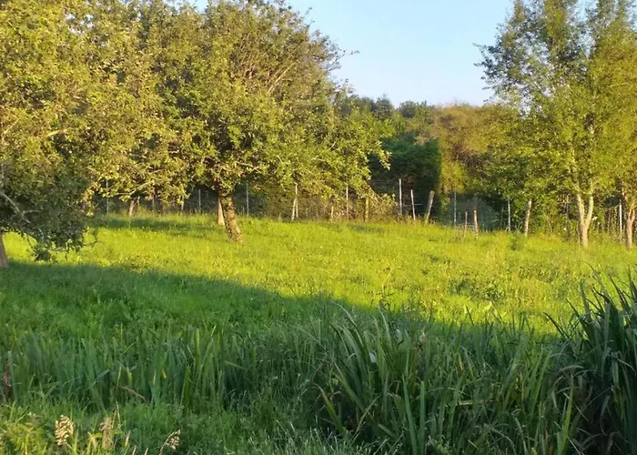 Сasa de vacaciones Very With On A Domain With Heated Pool Roussines