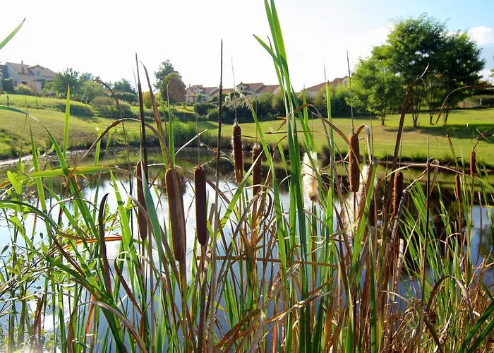 Сasa de vacaciones Very With On A Domain With Heated Pool Roussines